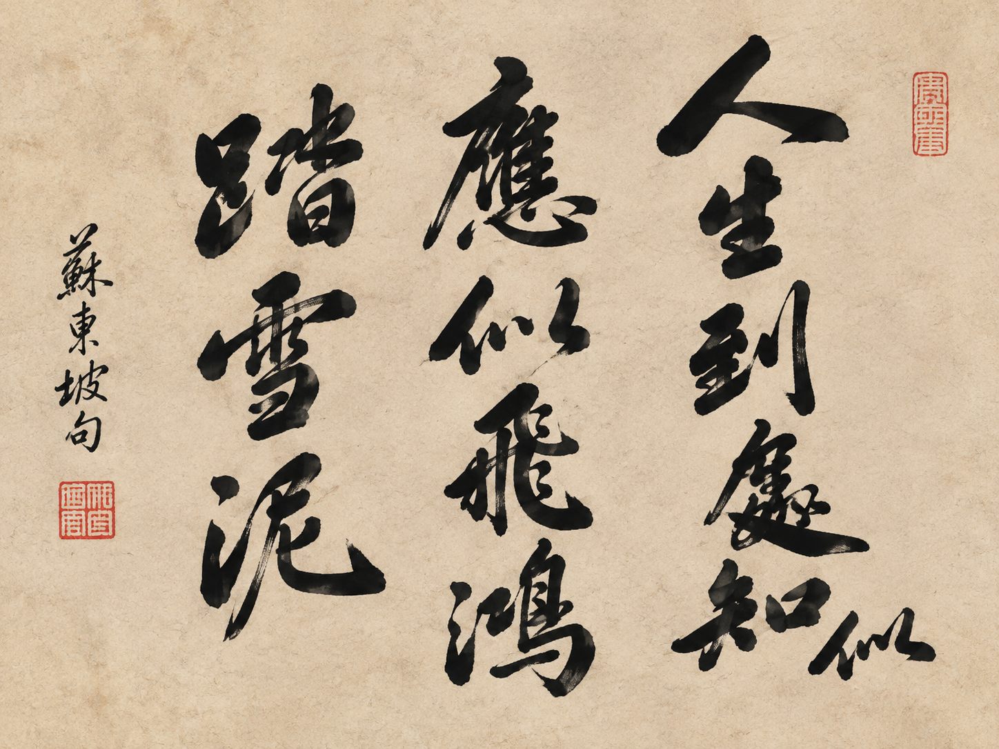 AI 生成图片，模型：Image 2.5