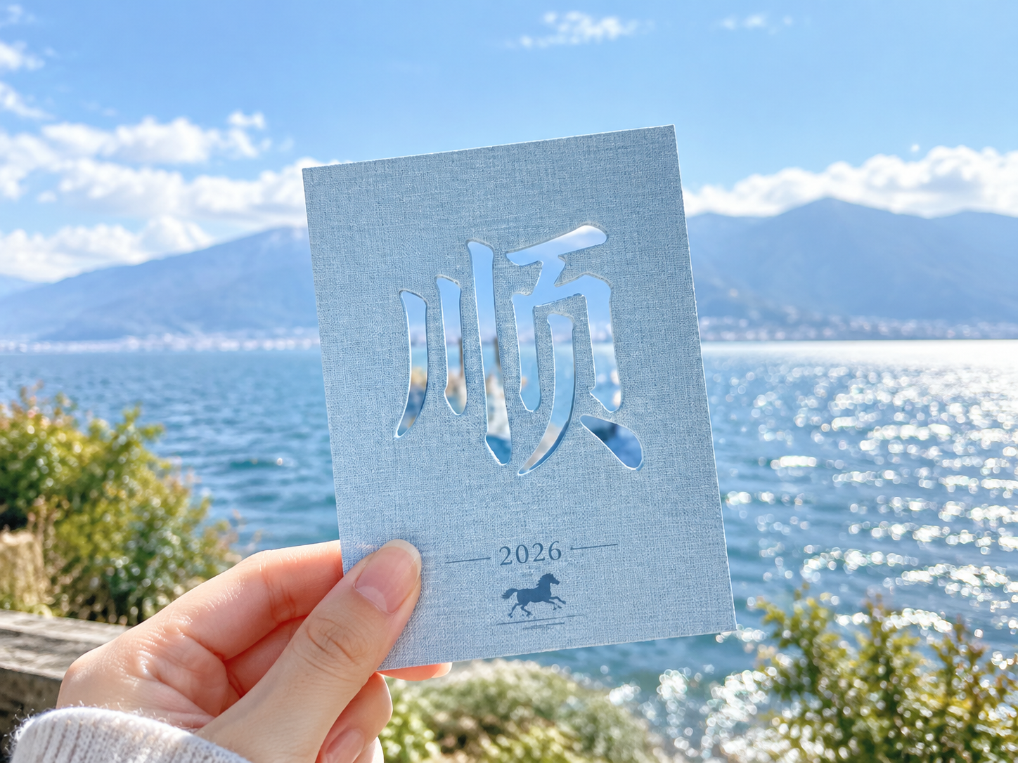 AI 生成图片，模型：Image 2.5