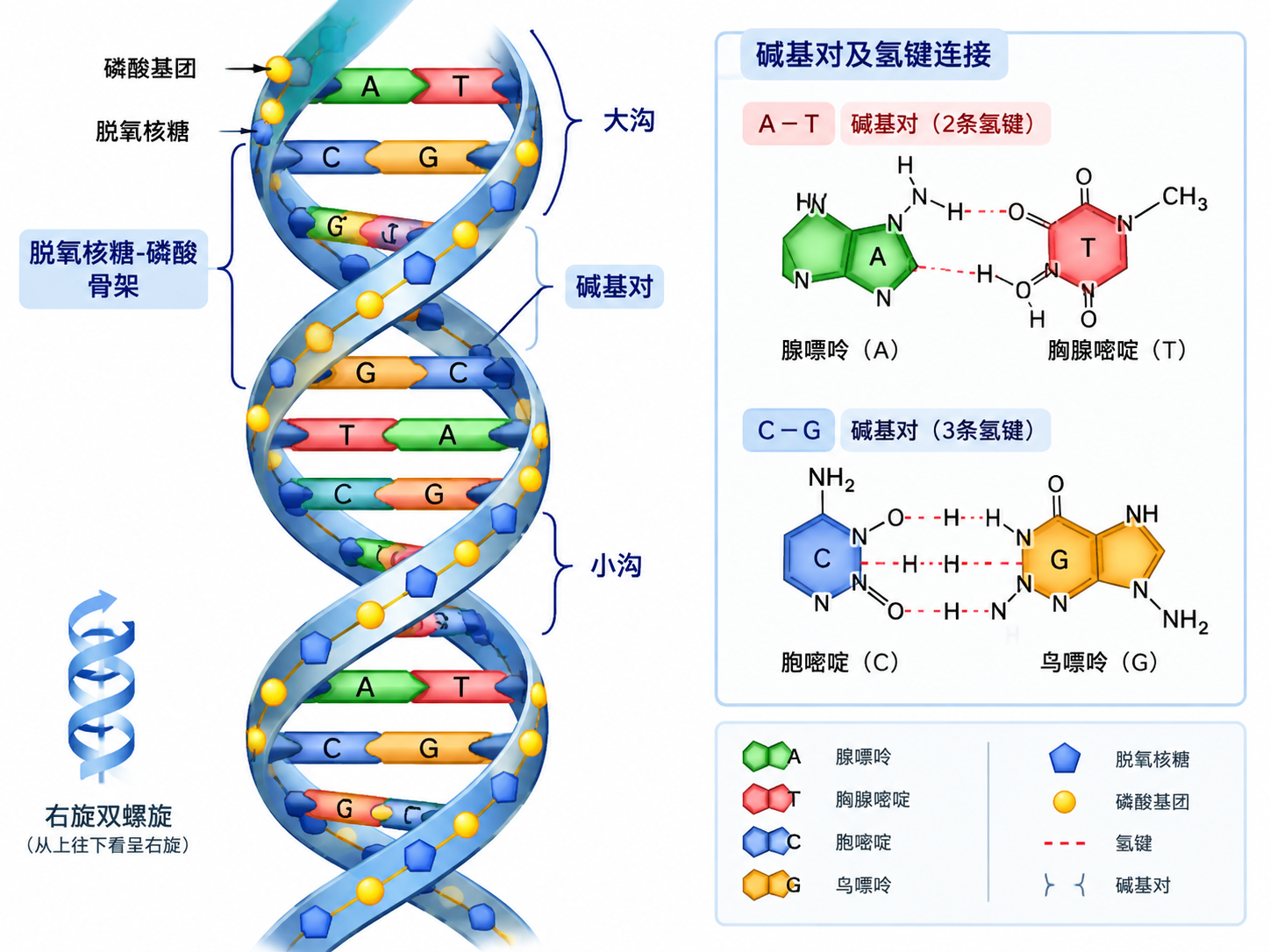 AI 生成图片，模型：Image 2.5
