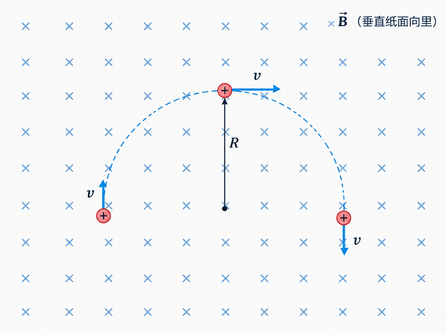 AI 生成图片，模型：Image 2.5